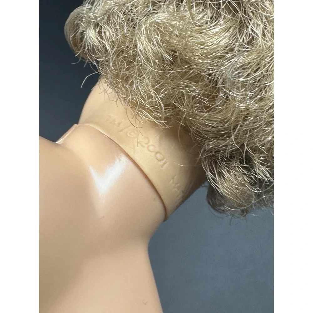 Mattel this ken